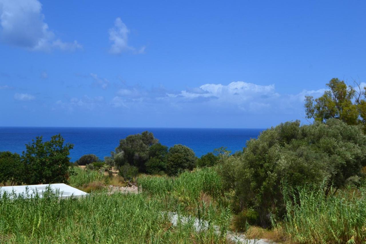 Campus Dei - Tropea Rooms Exteriér fotografie